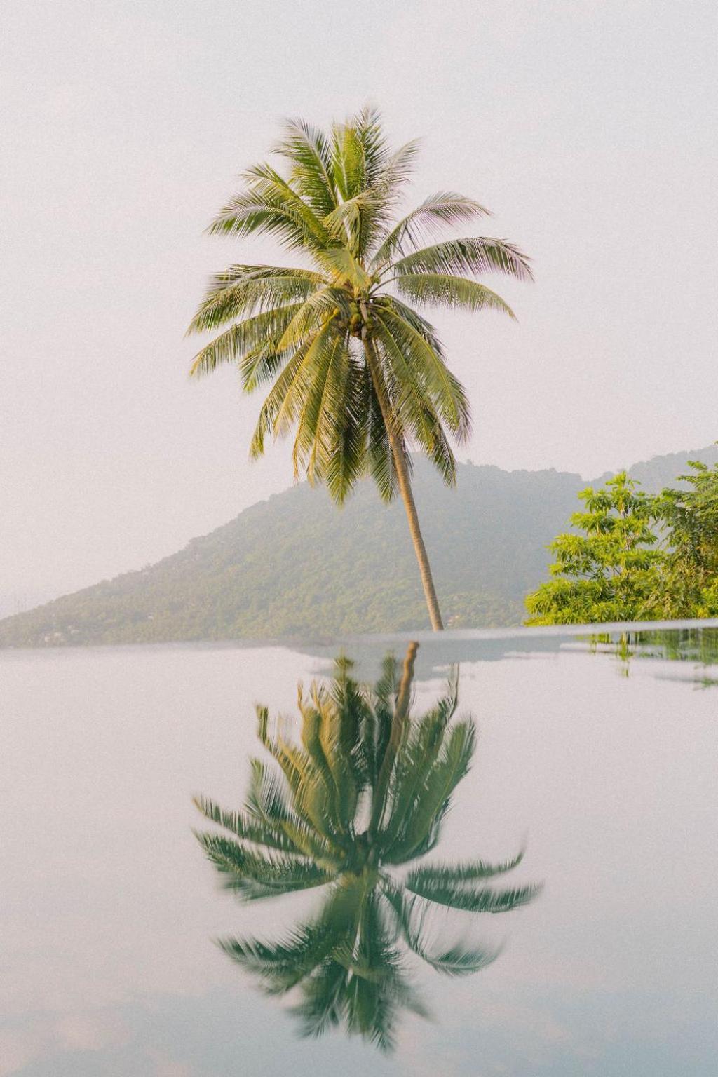 Perfect View Pool Villa Ко Тао Екстериор снимка